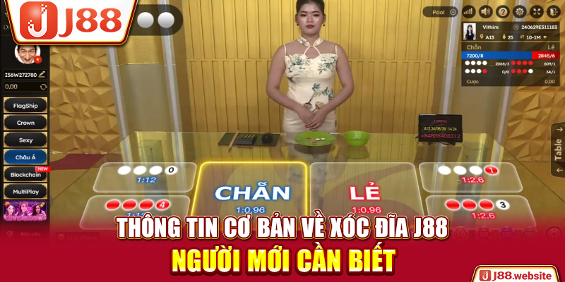 Thông tin cơ bản về xóc đĩa J88 người mới cần biết